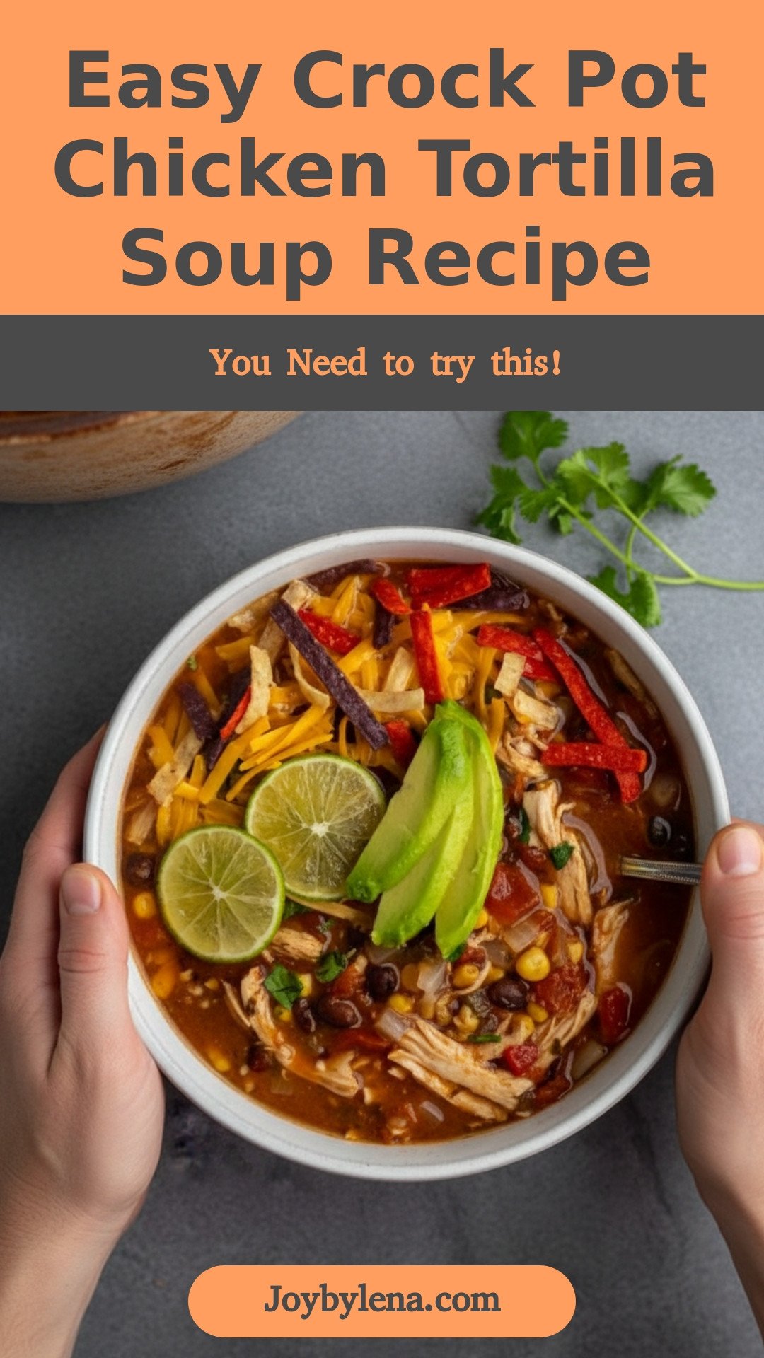 Crock Pot Chicken Tortilla Soup